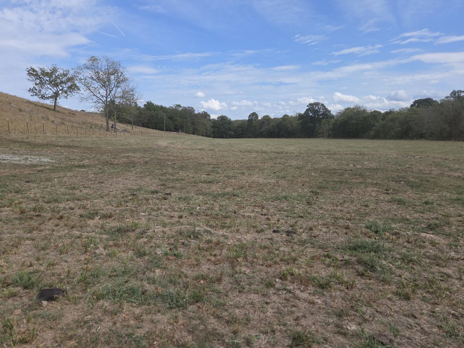 Photo 14 - Land for sale – Tbd  Cleveland Road  Houston, MO