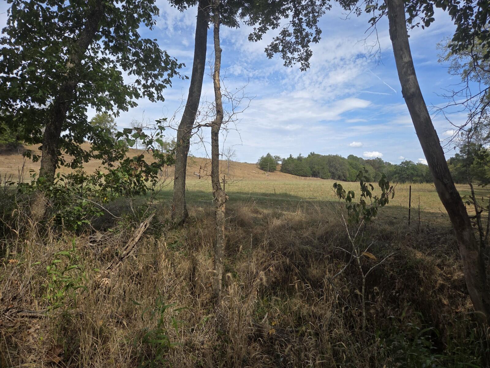Photo 18 - Land for sale – Tbd  Cleveland Road  Houston, MO
