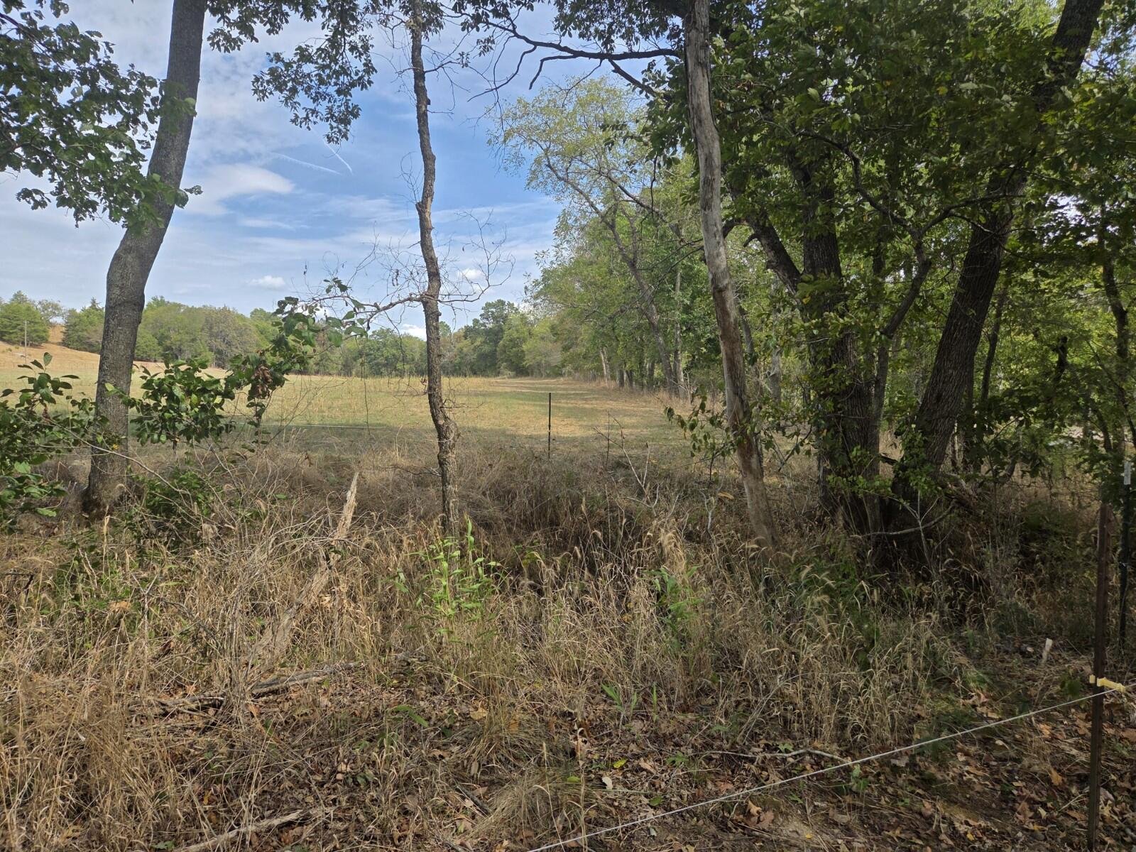 Photo 17 - Land for sale – Tbd  Cleveland Road  Houston, MO