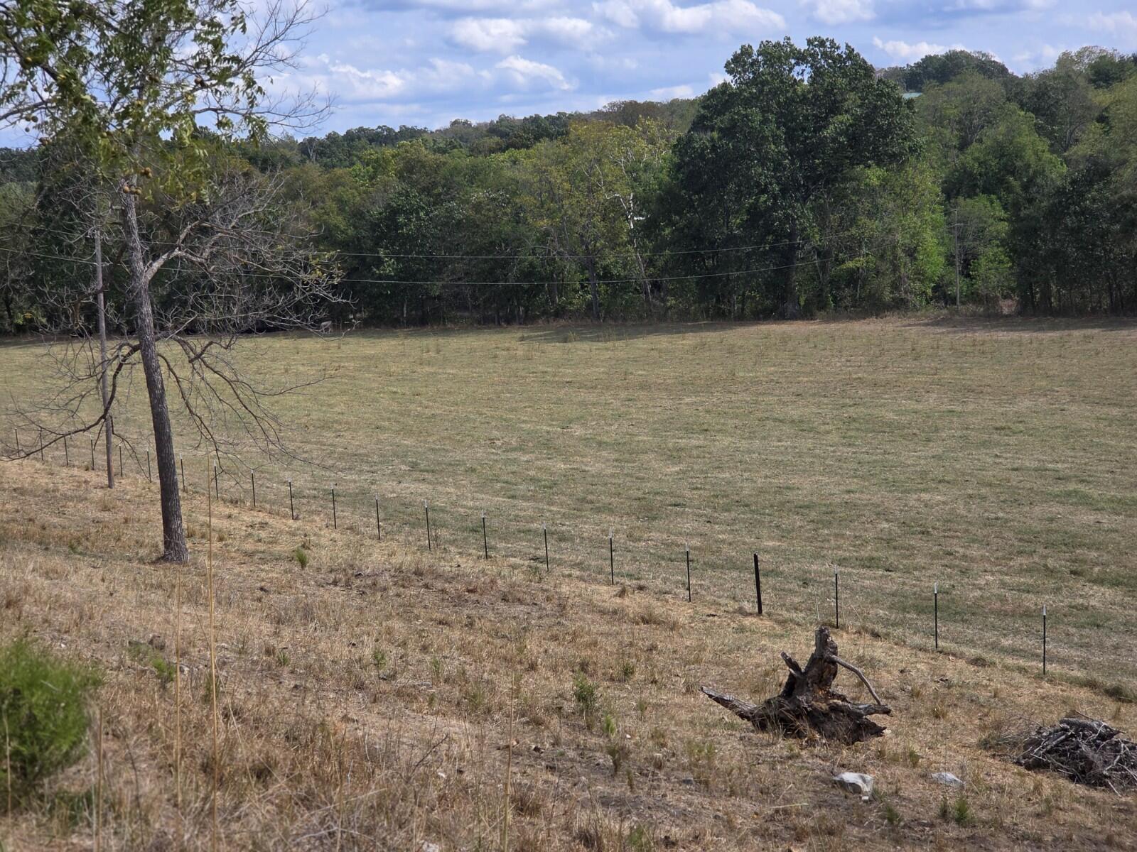 Photo 11 - Land for sale – Tbd  Cleveland Road  Houston, MO