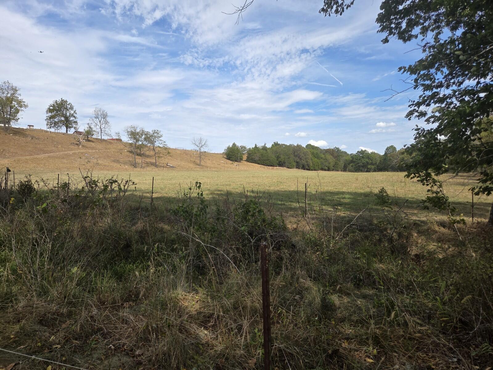 Photo 19 - Land for sale – Tbd  Cleveland Road  Houston, MO