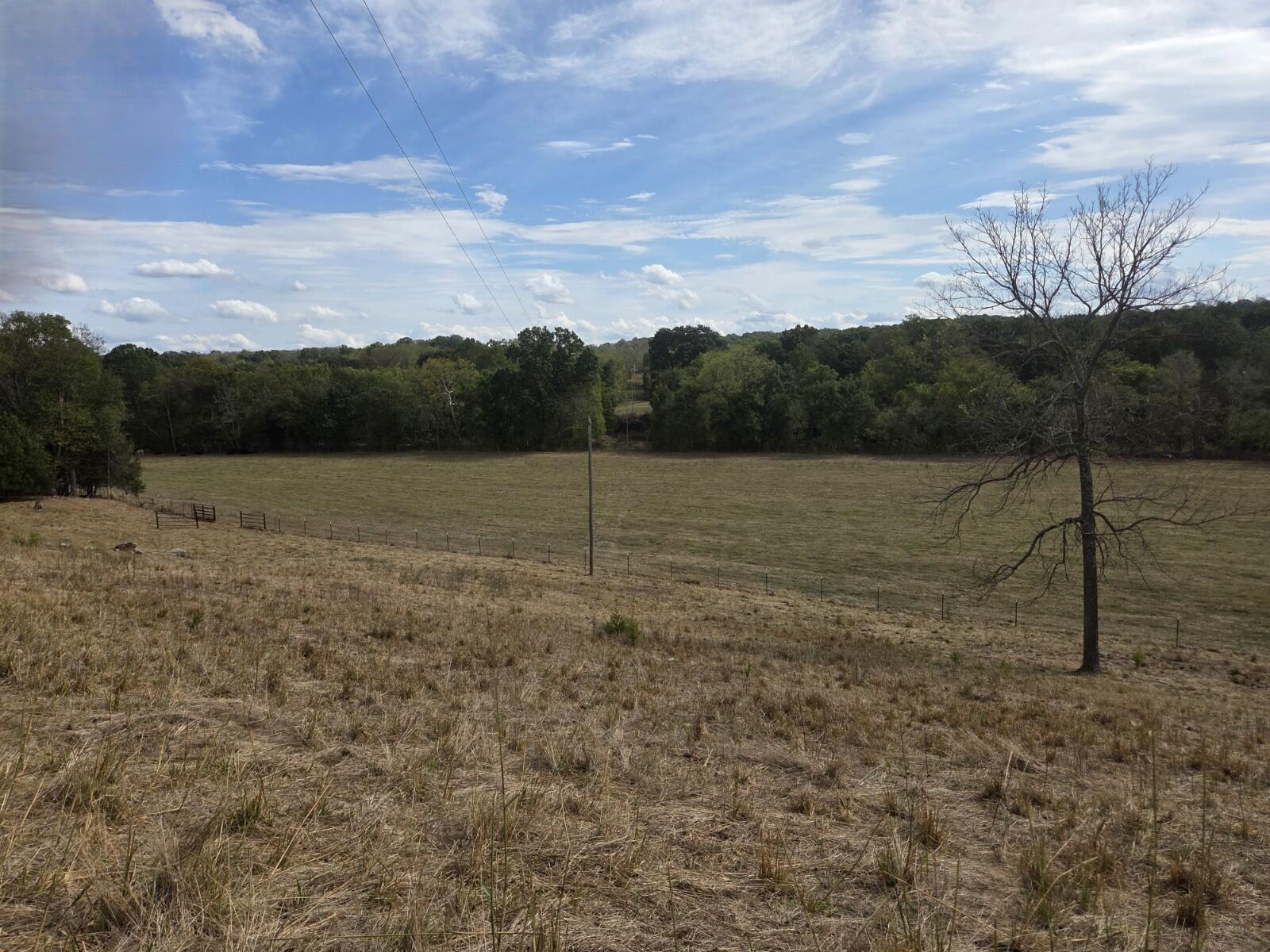 Photo 21 - Land for sale – Tbd  Cleveland Road  Houston, MO
