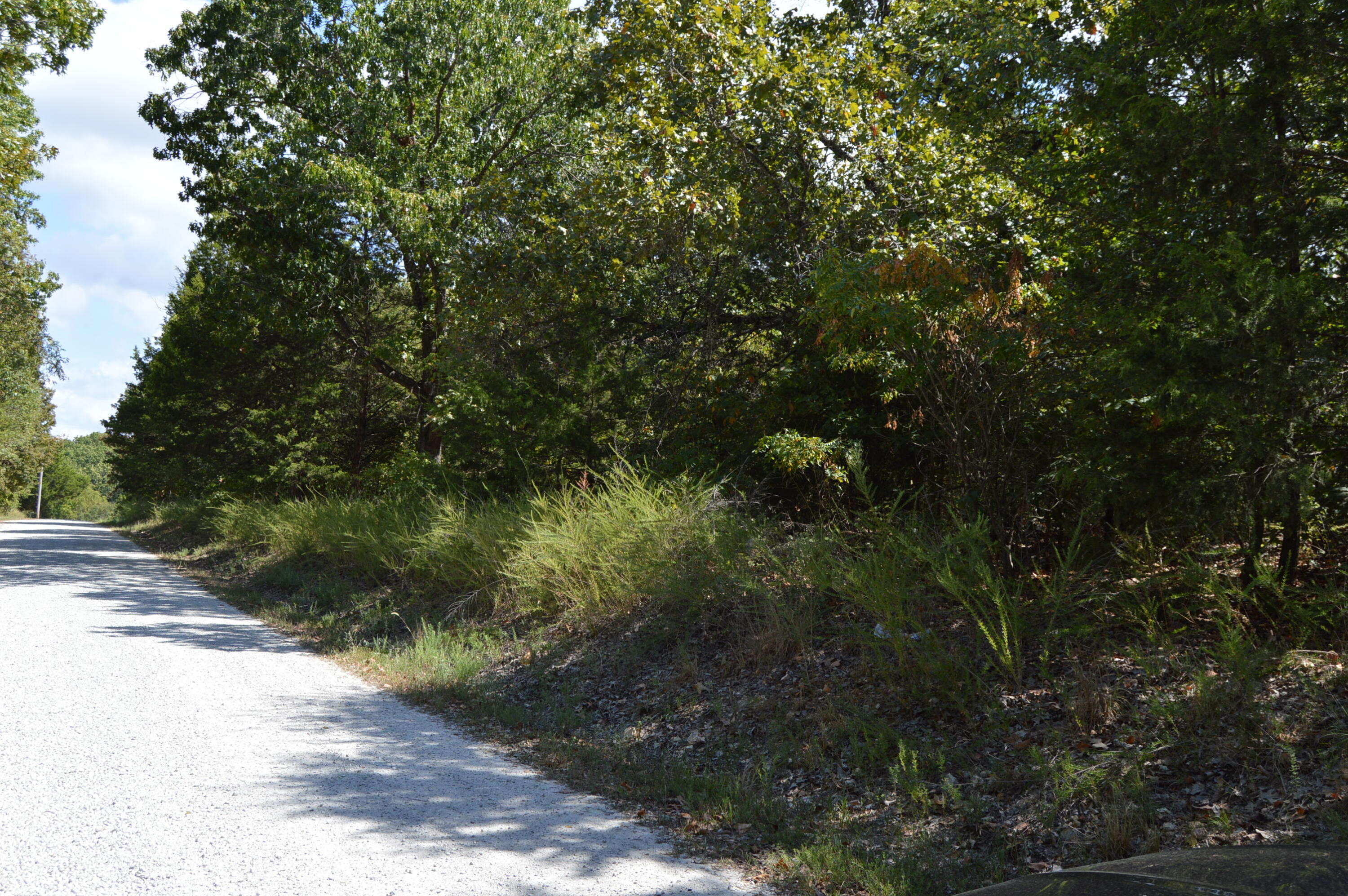 Photo 2 - Land for sale – 000  Waldon Ridge   Lampe, MO