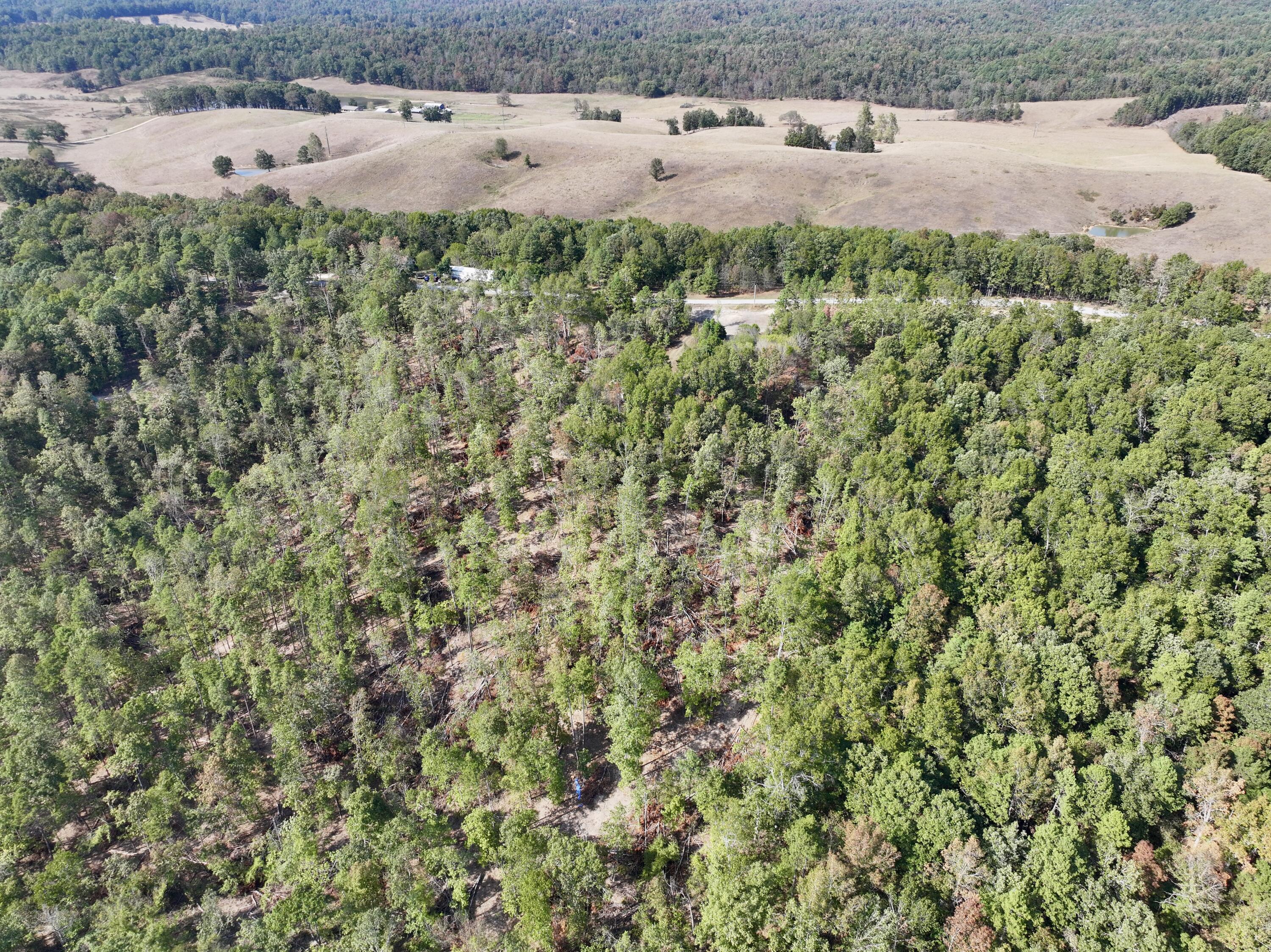 Photo 3 - Land for sale – 000  County Road 306   Van Buren, MO