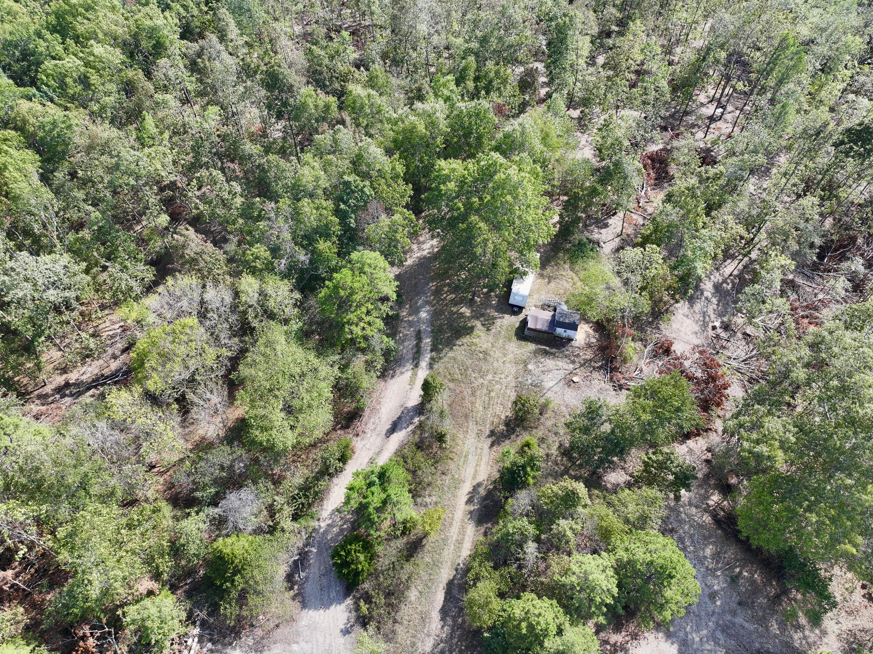 Photo 5 - Land for sale – 000  County Road 306   Van Buren, MO