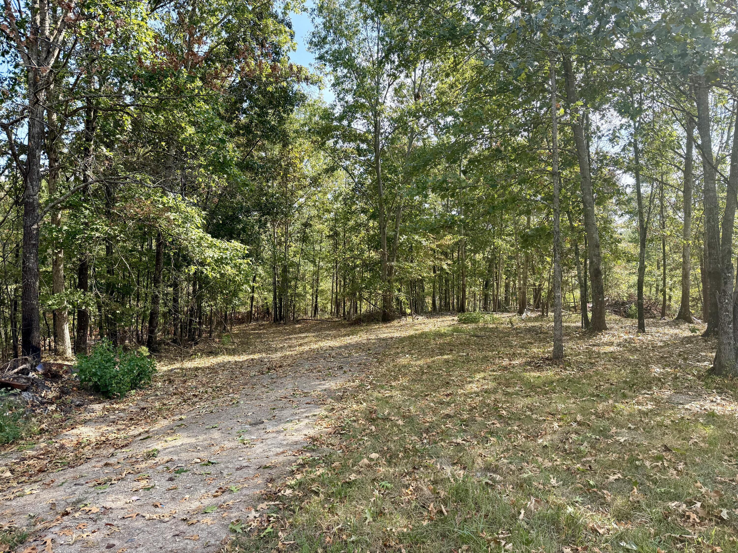 Land for sale – 000 County Road 306 Van Buren, MO
