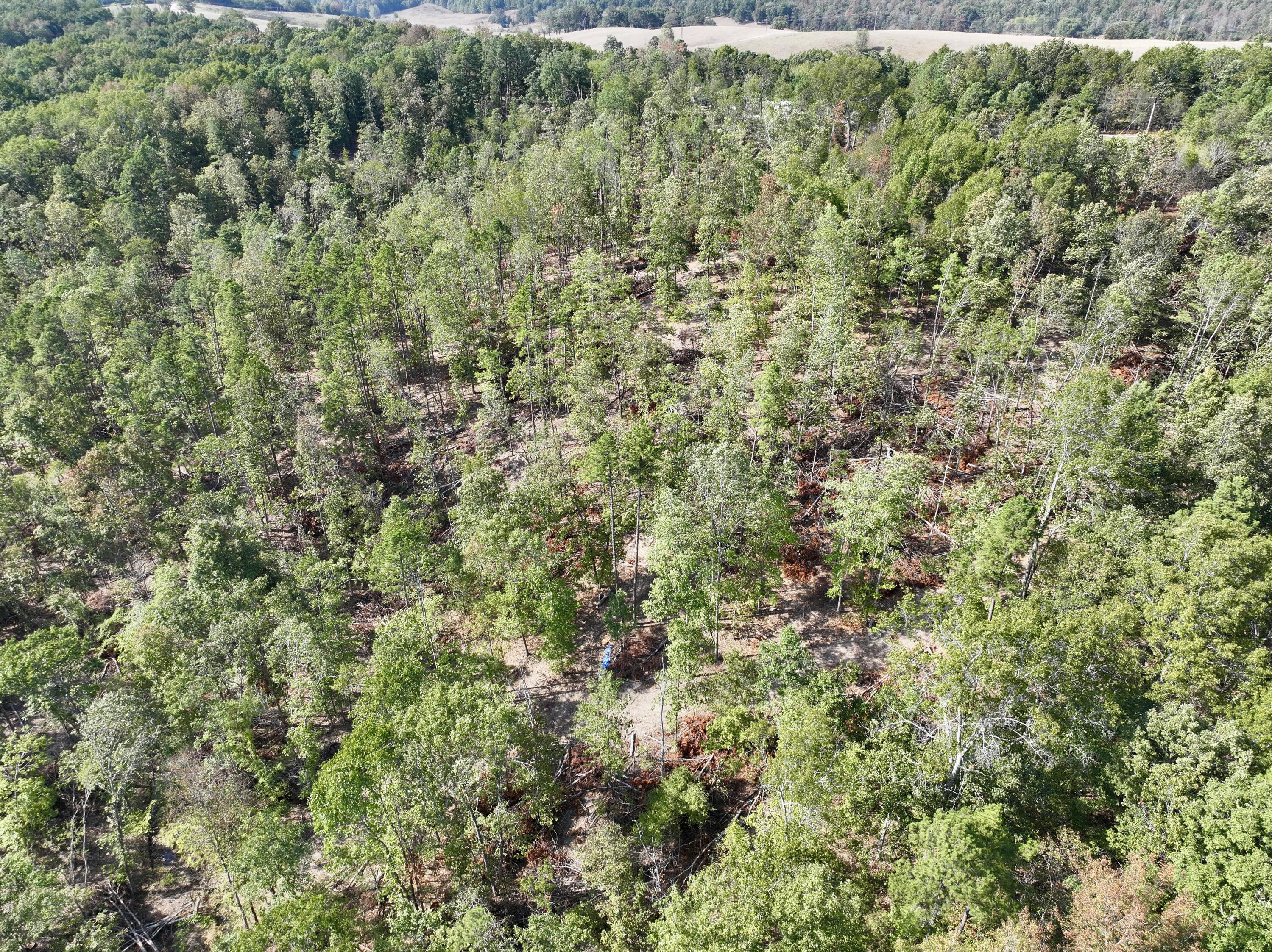 Photo 4 - Land for sale – 000  County Road 306   Van Buren, MO