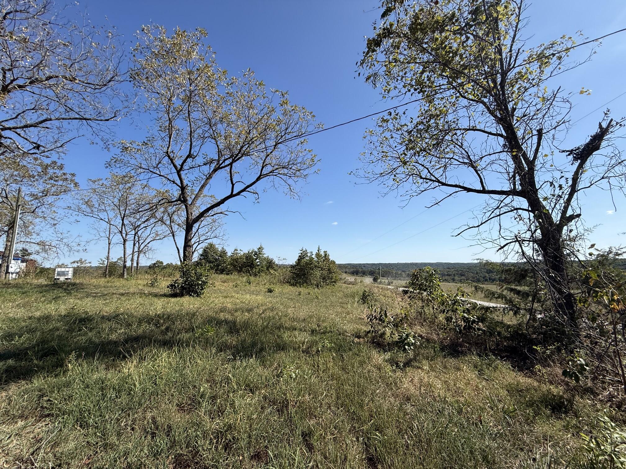 Photo 6 - Land for sale – 000  Peace Chapel Road  Plato, MO