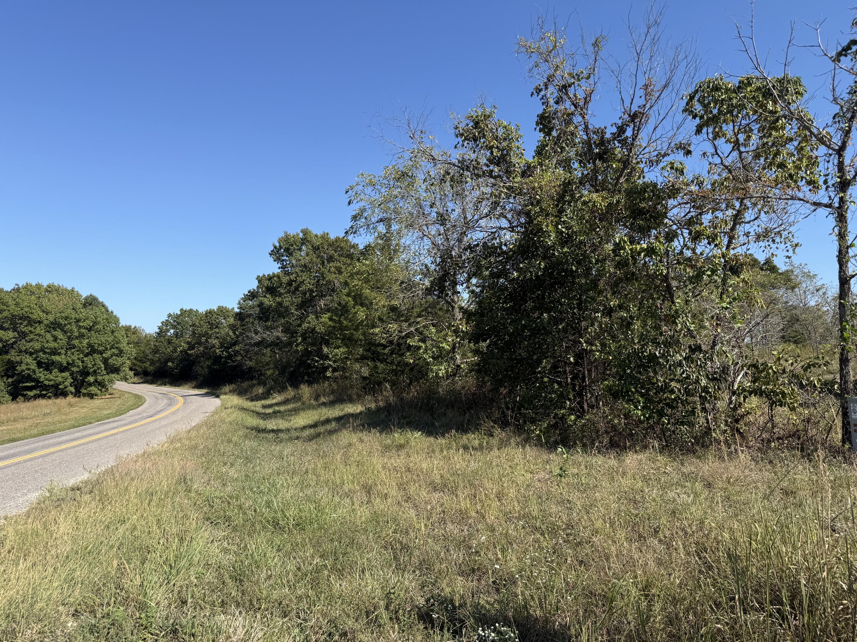 Photo 2 - Land for sale – 000  Peace Chapel Road  Plato, MO