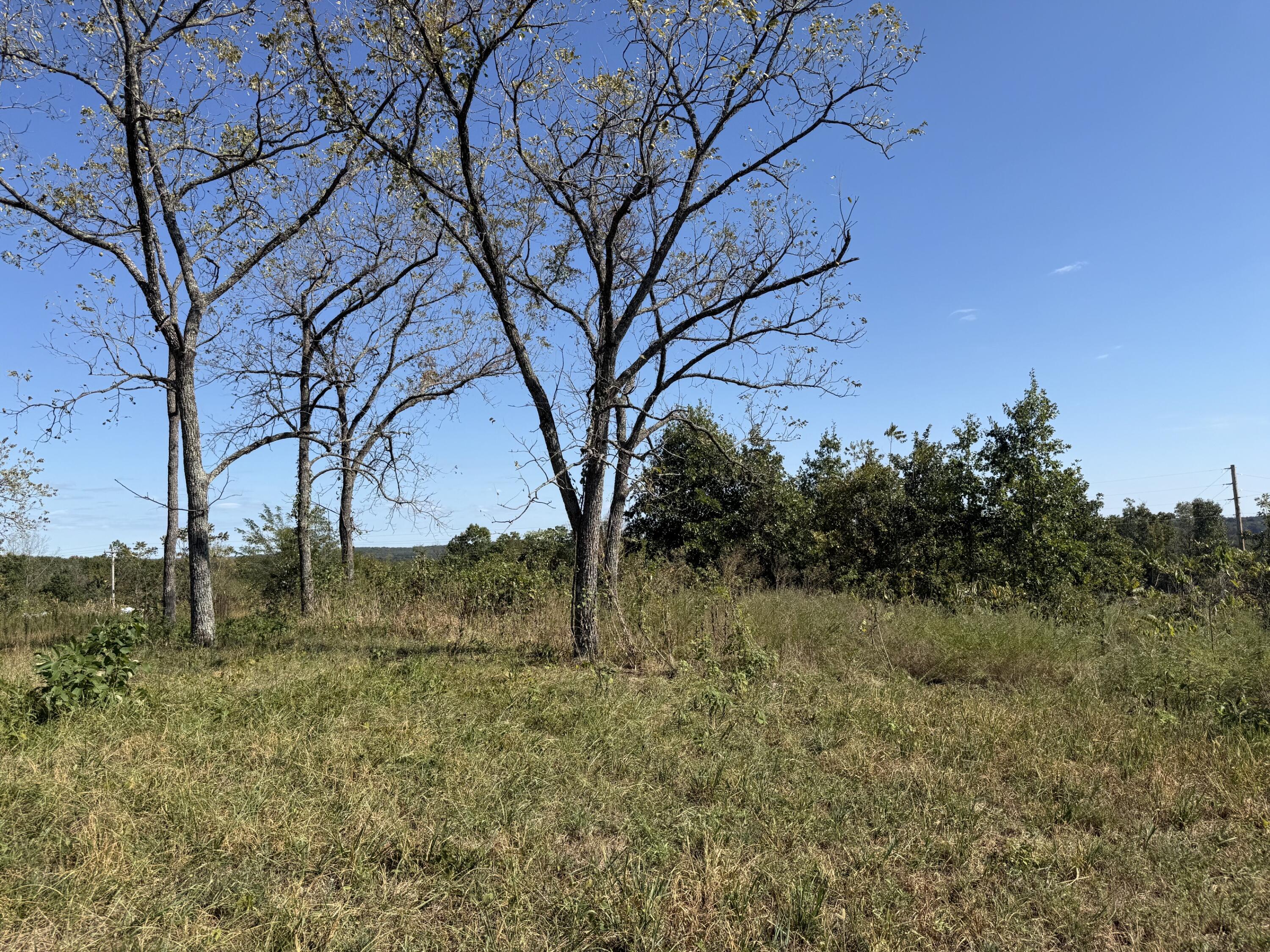Photo 7 - Land for sale – 000  Peace Chapel Road  Plato, MO