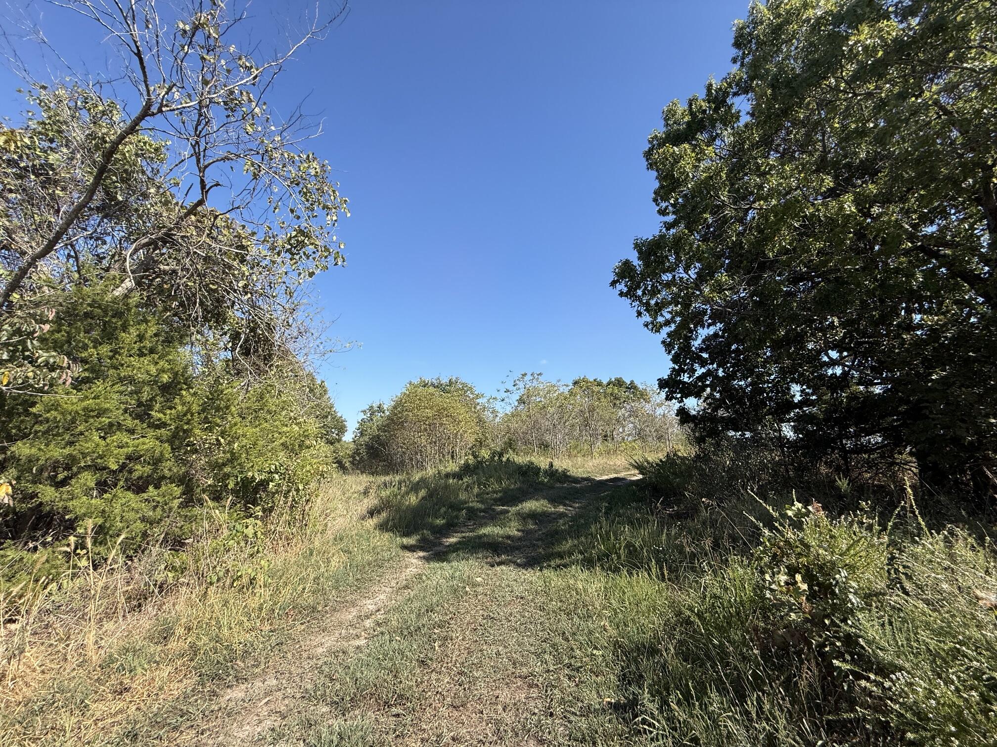 Photo 4 - Land for sale – 000  Peace Chapel Road  Plato, MO