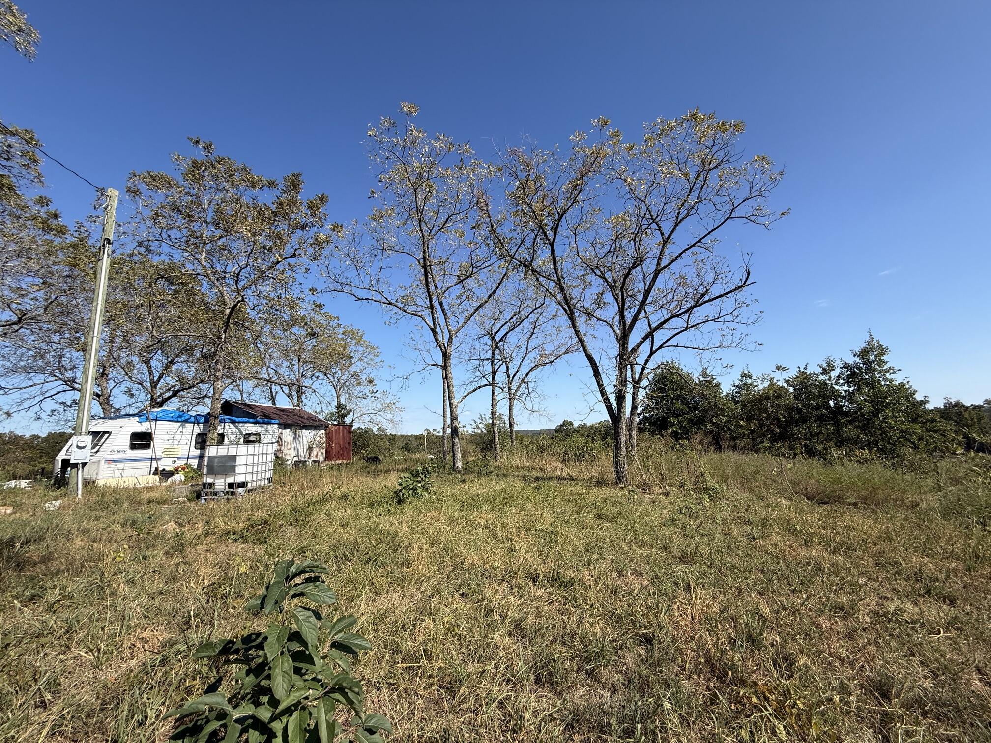 Photo 8 - Land for sale – 000  Peace Chapel Road  Plato, MO