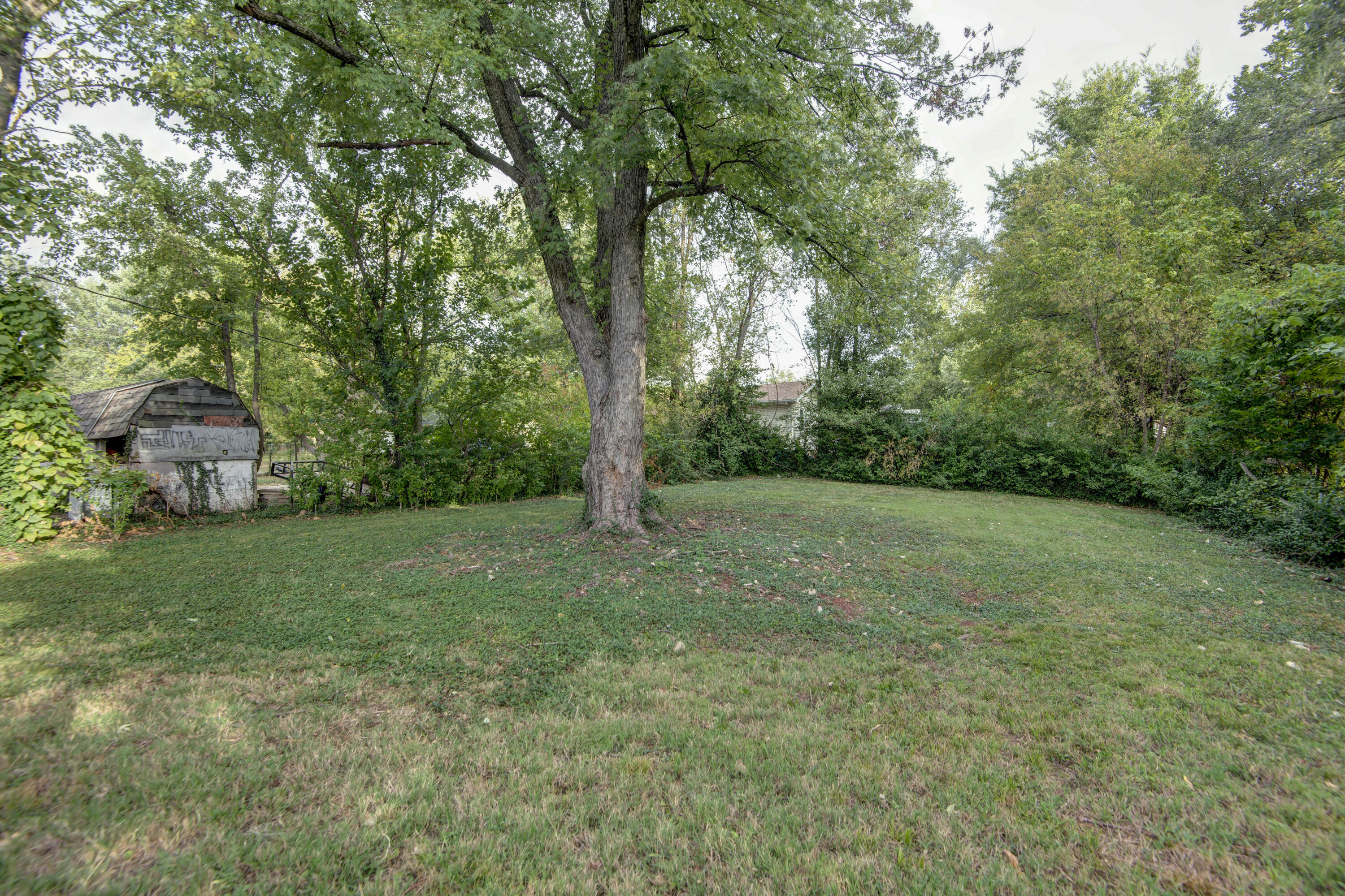 Photo 19 - Residential for sale – 2727 W Nichols Street  Springfield, MO