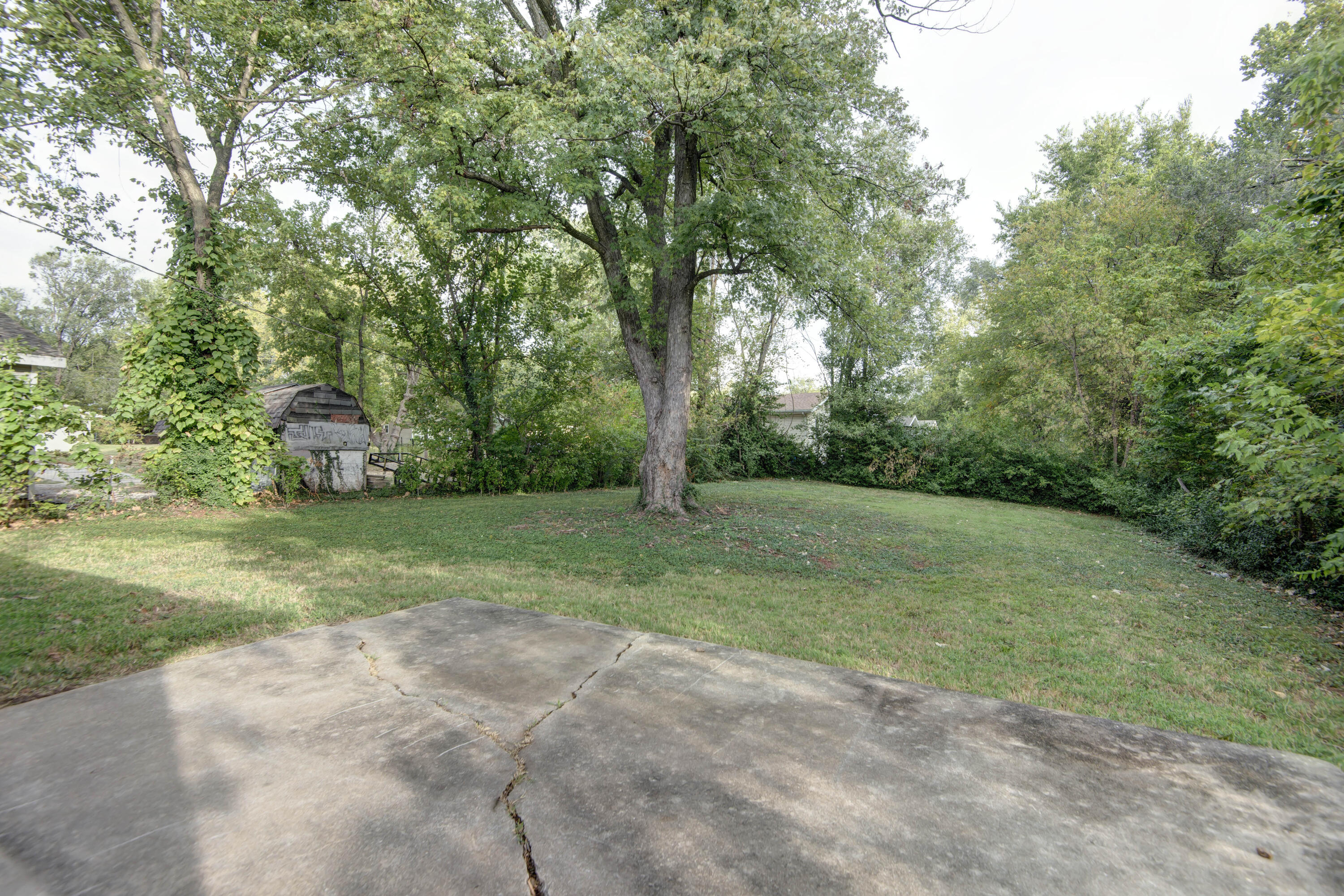 Photo 7 - Residential for sale – 2727 W Nichols Street  Springfield, MO