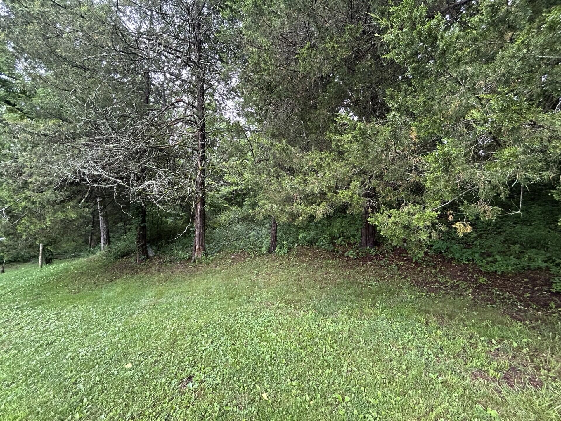 Photo 25 - Residential for sale – 10751  Country Road Ak-541   Ava, MO
