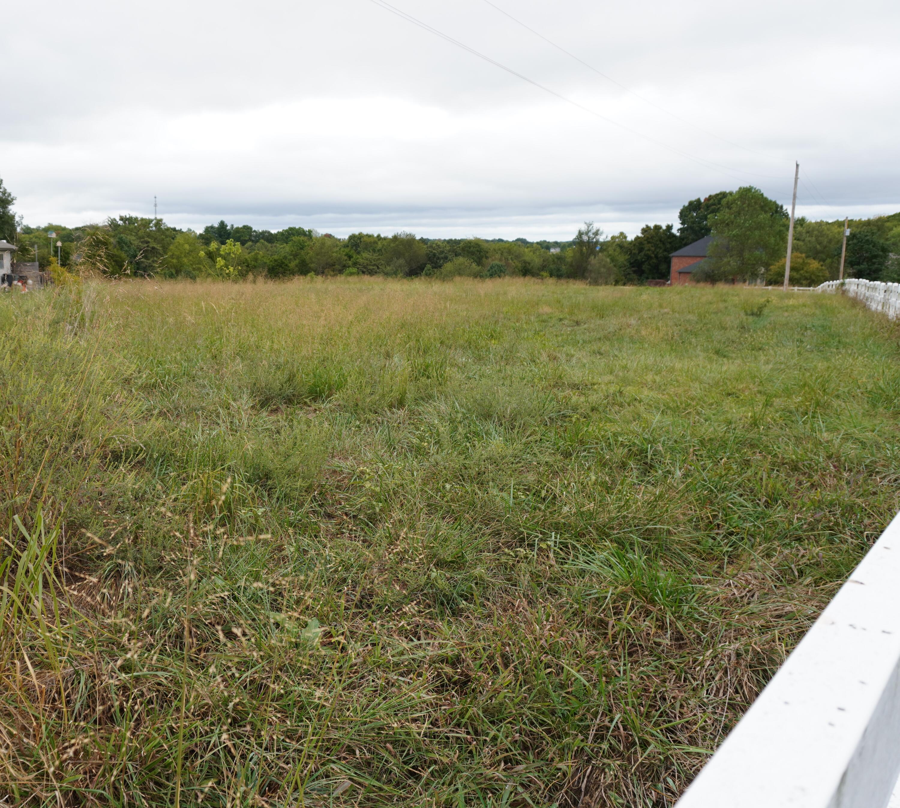 Photo 8 - Land for sale – 000  Berkshire   Ozark, MO