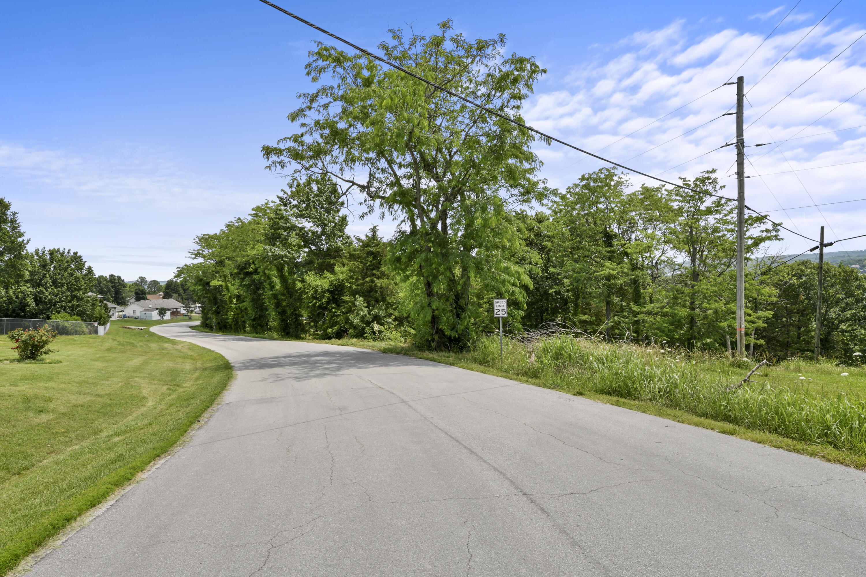 Photo 9 - Land for sale – Lot 3  Clearwater Drive  Ridgedale, MO