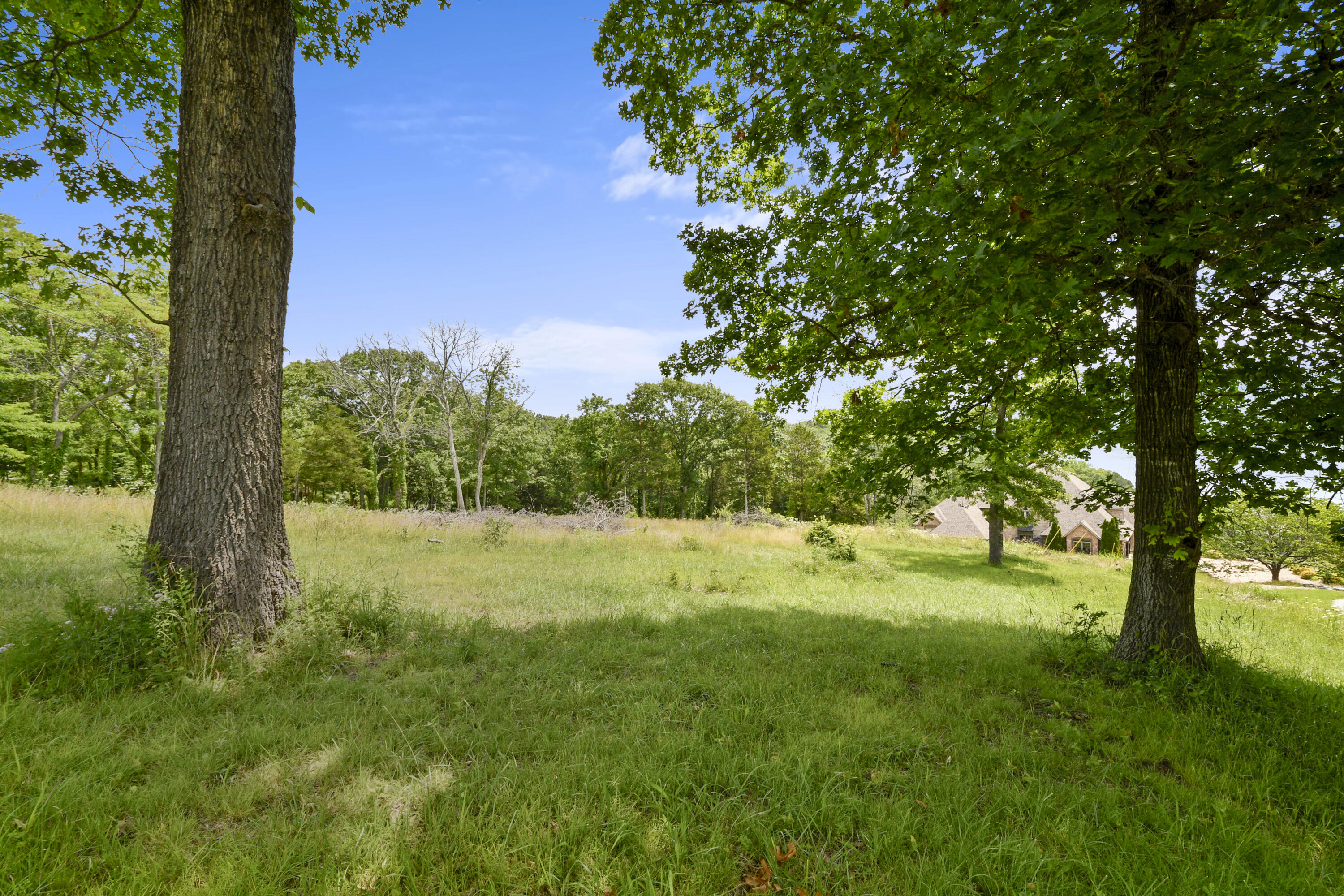 Photo 11 - Land for sale – Lot 3  Clearwater Drive  Ridgedale, MO