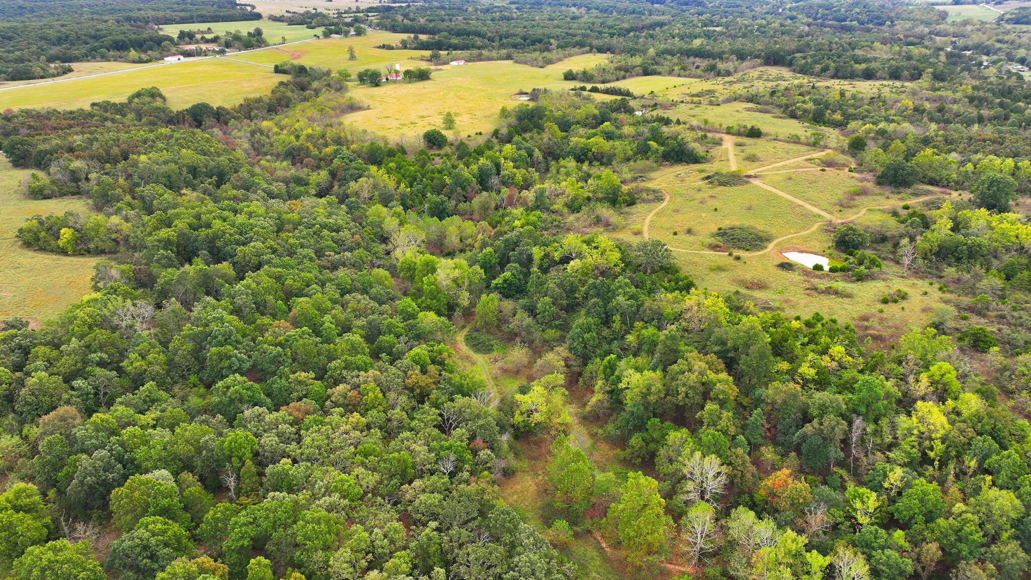 Photo 2 - Land for sale – 000  Freedom Road  Marshfield, MO