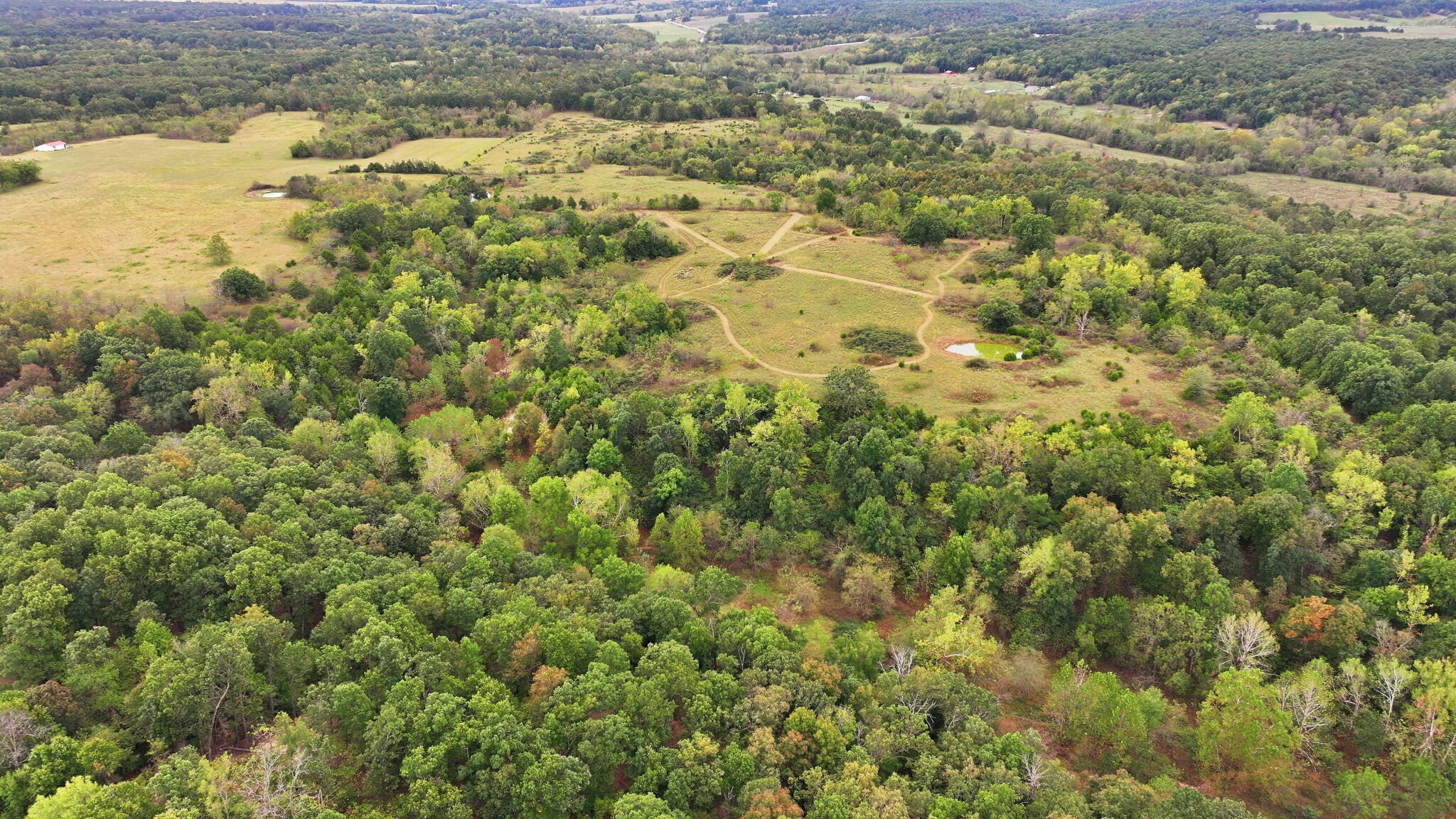 Photo 5 - Land for sale – 000  Freedom Road  Marshfield, MO