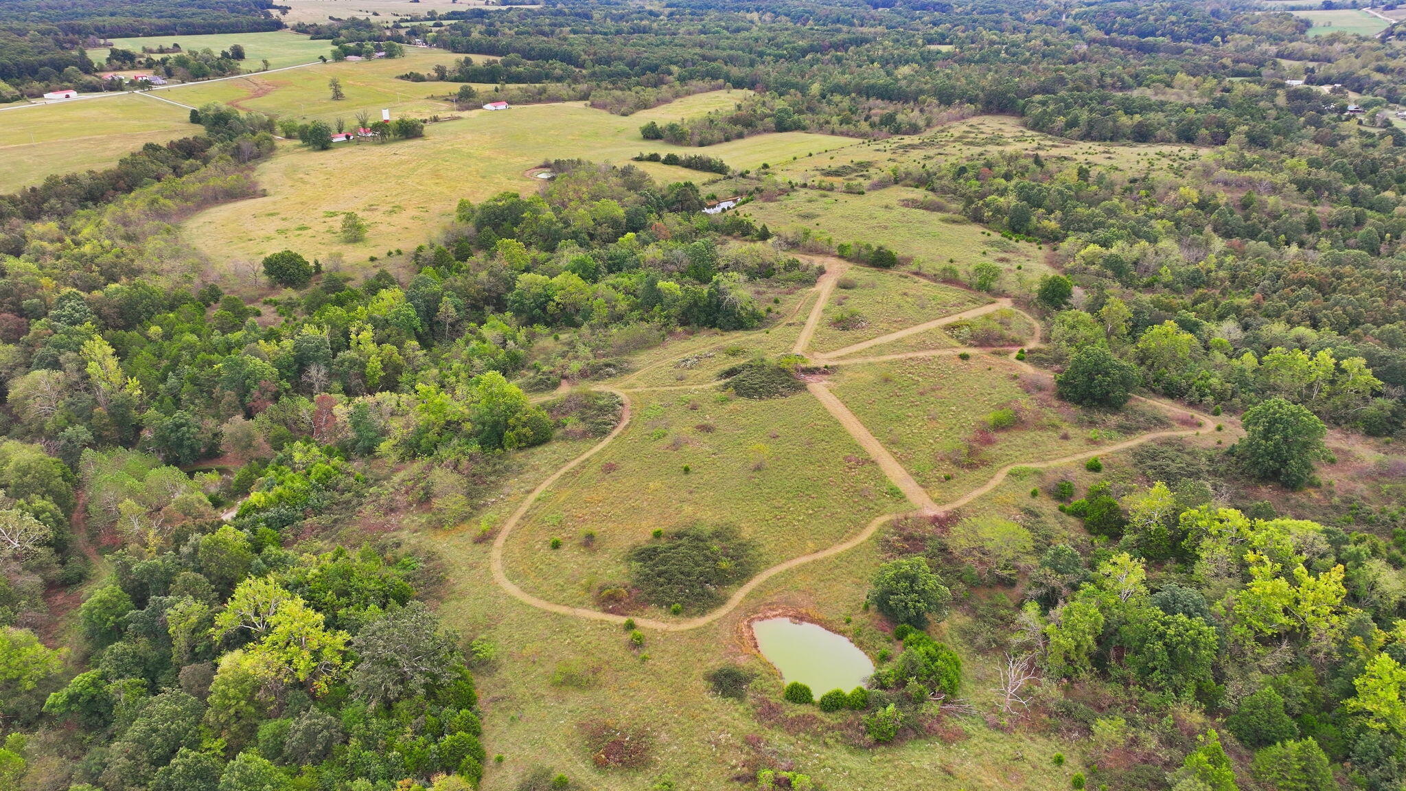 Photo 4 - Land for sale – 000  Freedom Road  Marshfield, MO