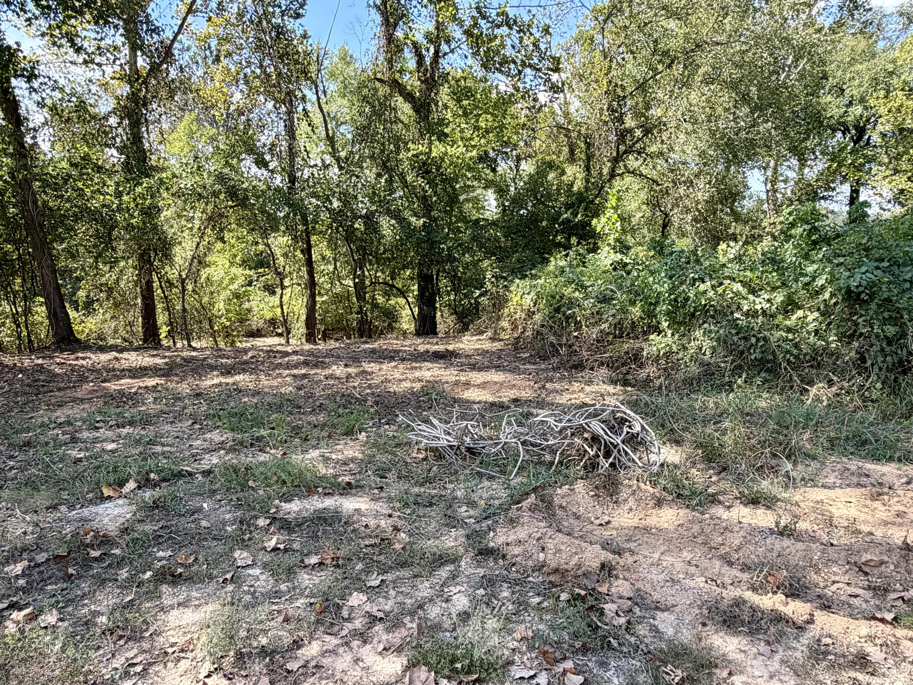Photo 5 - Land for sale – 000  Lueckel Drive   Van Buren, MO