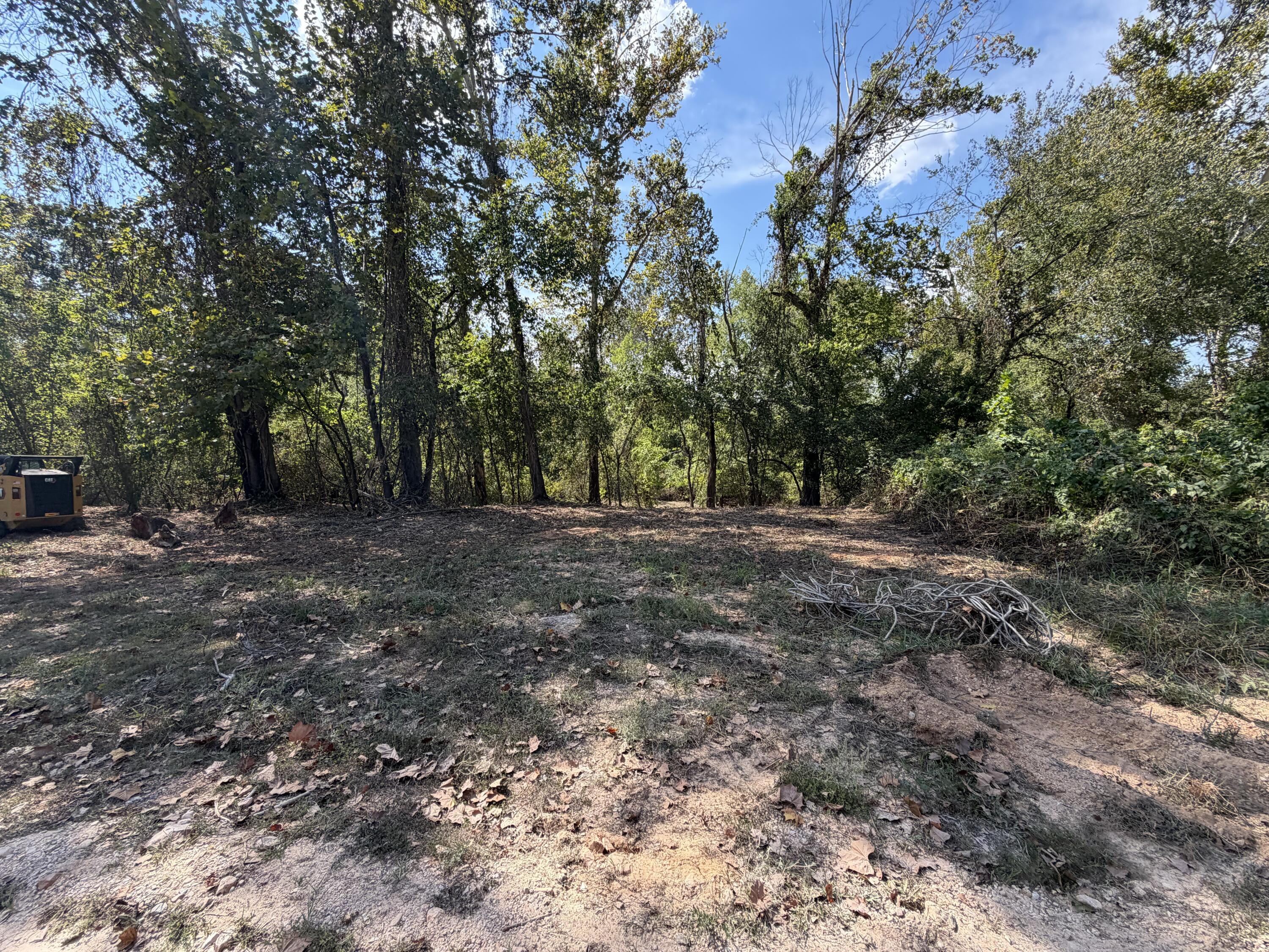 Land for sale – 000  Lueckel Drive   Van Buren, MO