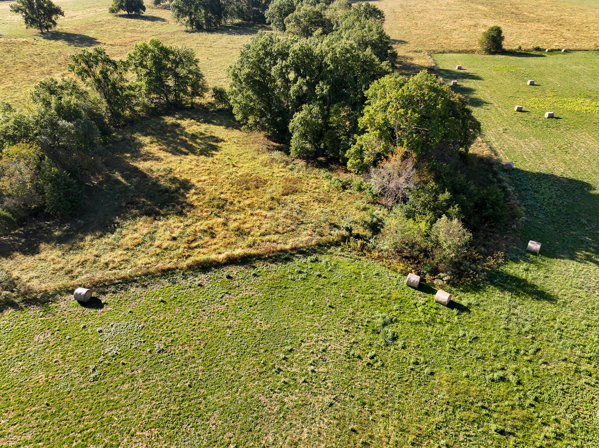 Photo 11 - Land for sale – 1460 Sw Hw  1460 Sw Hwy H   Appleton City, MO