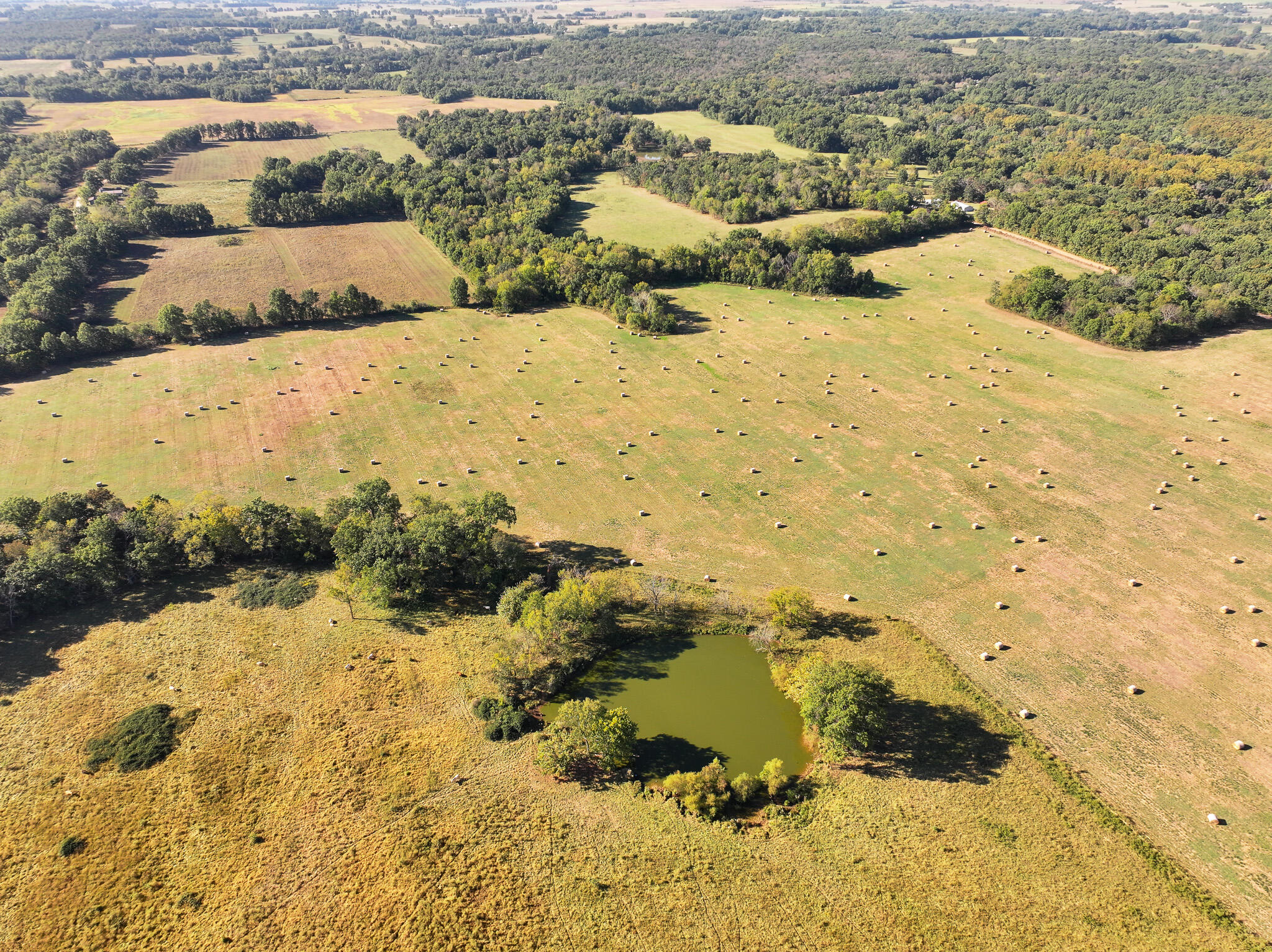 Photo 21 - Land for sale – 1460 Sw Hw  1460 Sw Hwy H   Appleton City, MO
