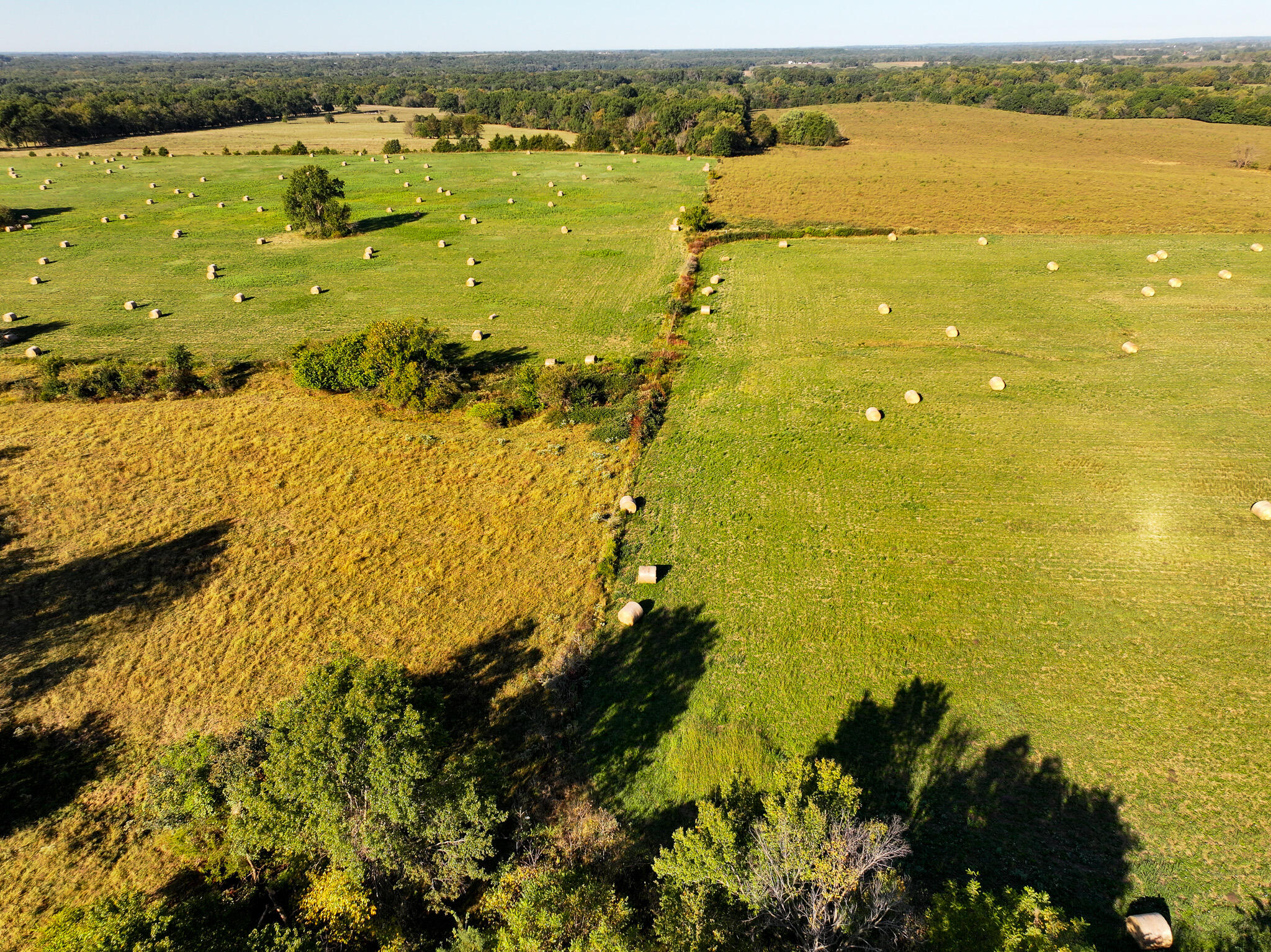 Photo 7 - Land for sale – 1460 Sw Hw  1460 Sw Hwy H   Appleton City, MO