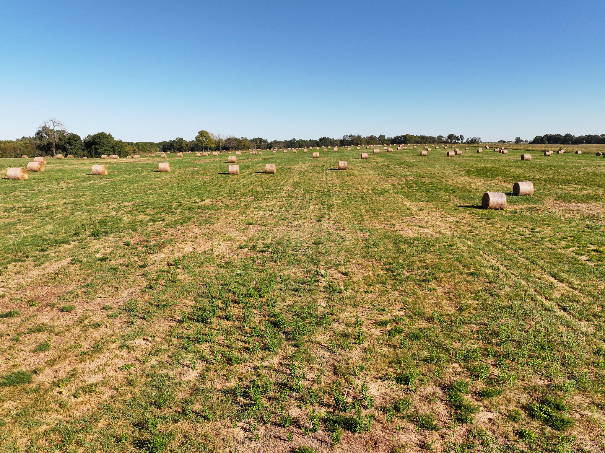 Photo 23 - Land for sale – 1460 Sw Hw  1460 Sw Hwy H   Appleton City, MO