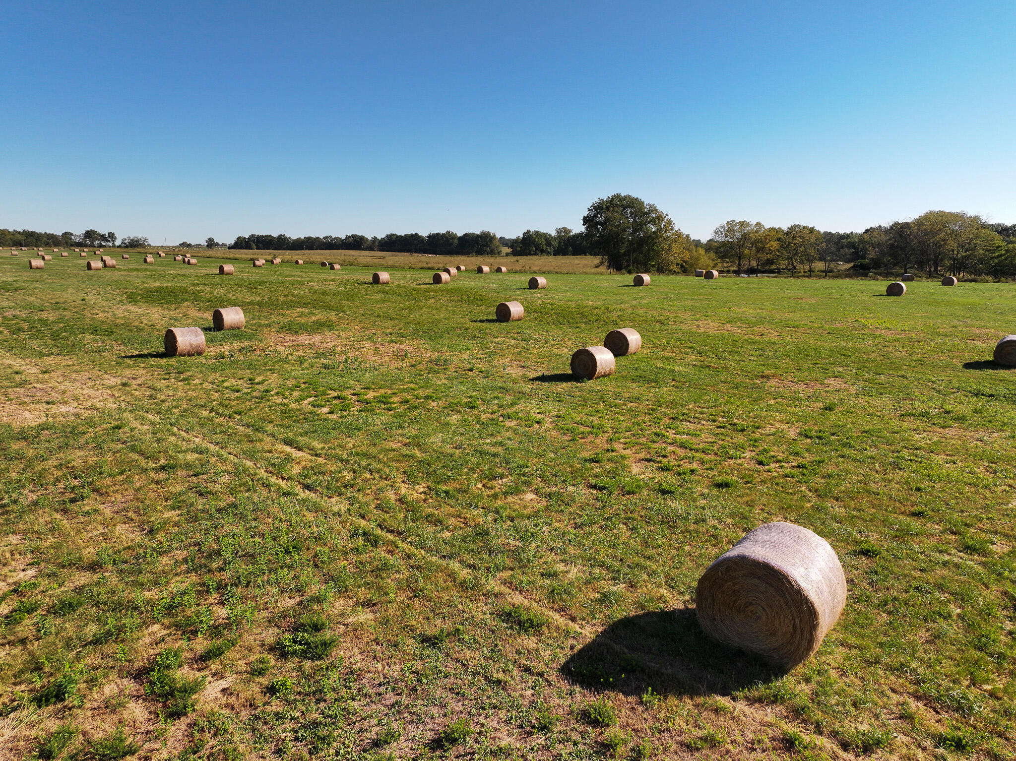 Photo 26 - Land for sale – 1460 Sw Hw  1460 Sw Hwy H   Appleton City, MO