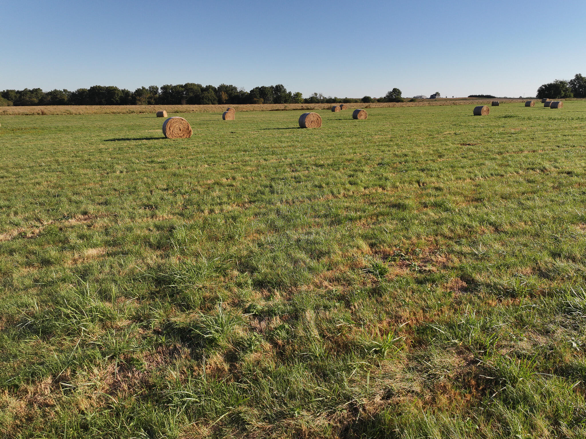 Photo 59 - Land for sale – 1460 Sw Hw  1460 Sw Hwy H   Appleton City, MO