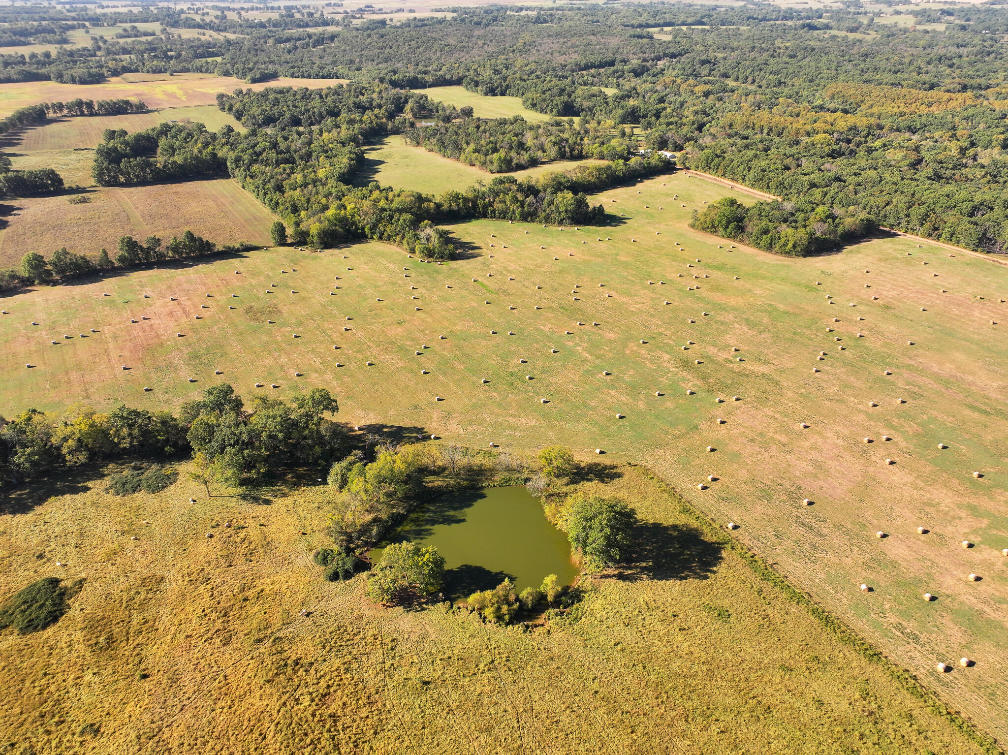 Photo 19 - Land for sale – 1460 Sw Hw  1460 Sw Hwy H   Appleton City, MO