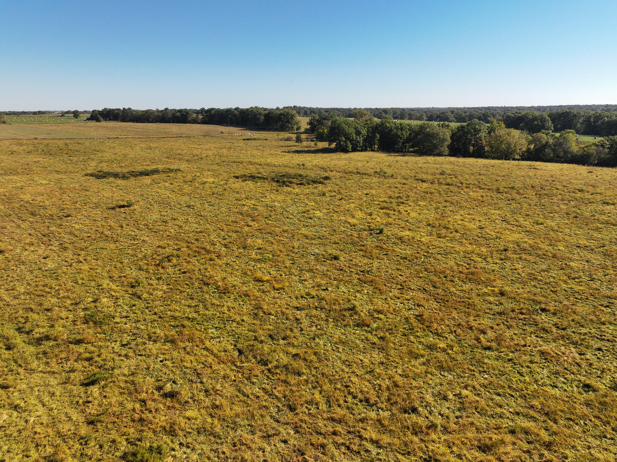 Photo 28 - Land for sale – 1460 Sw Hw  1460 Sw Hwy H   Appleton City, MO