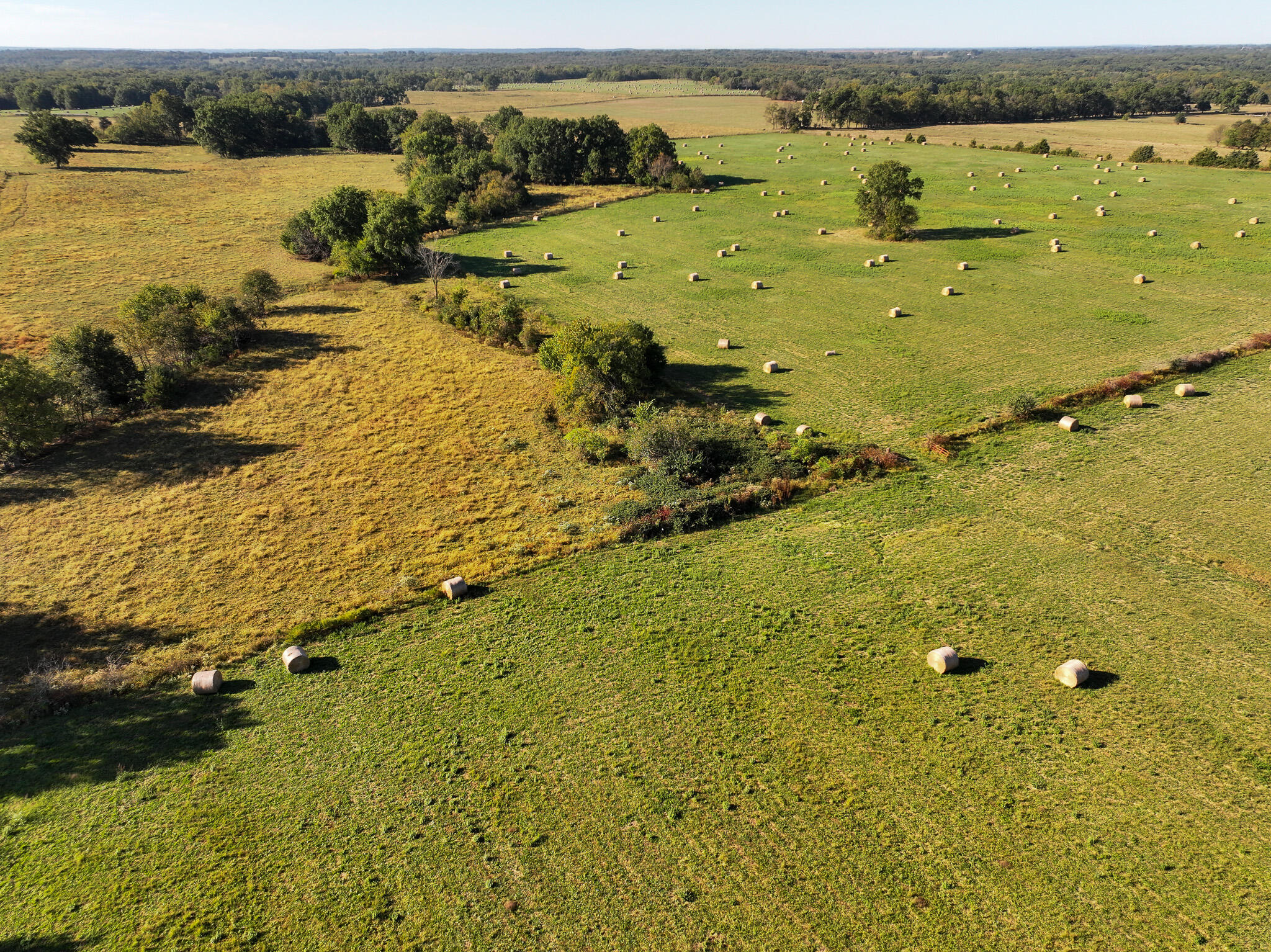 Photo 9 - Land for sale – 1460 Sw Hw  1460 Sw Hwy H   Appleton City, MO