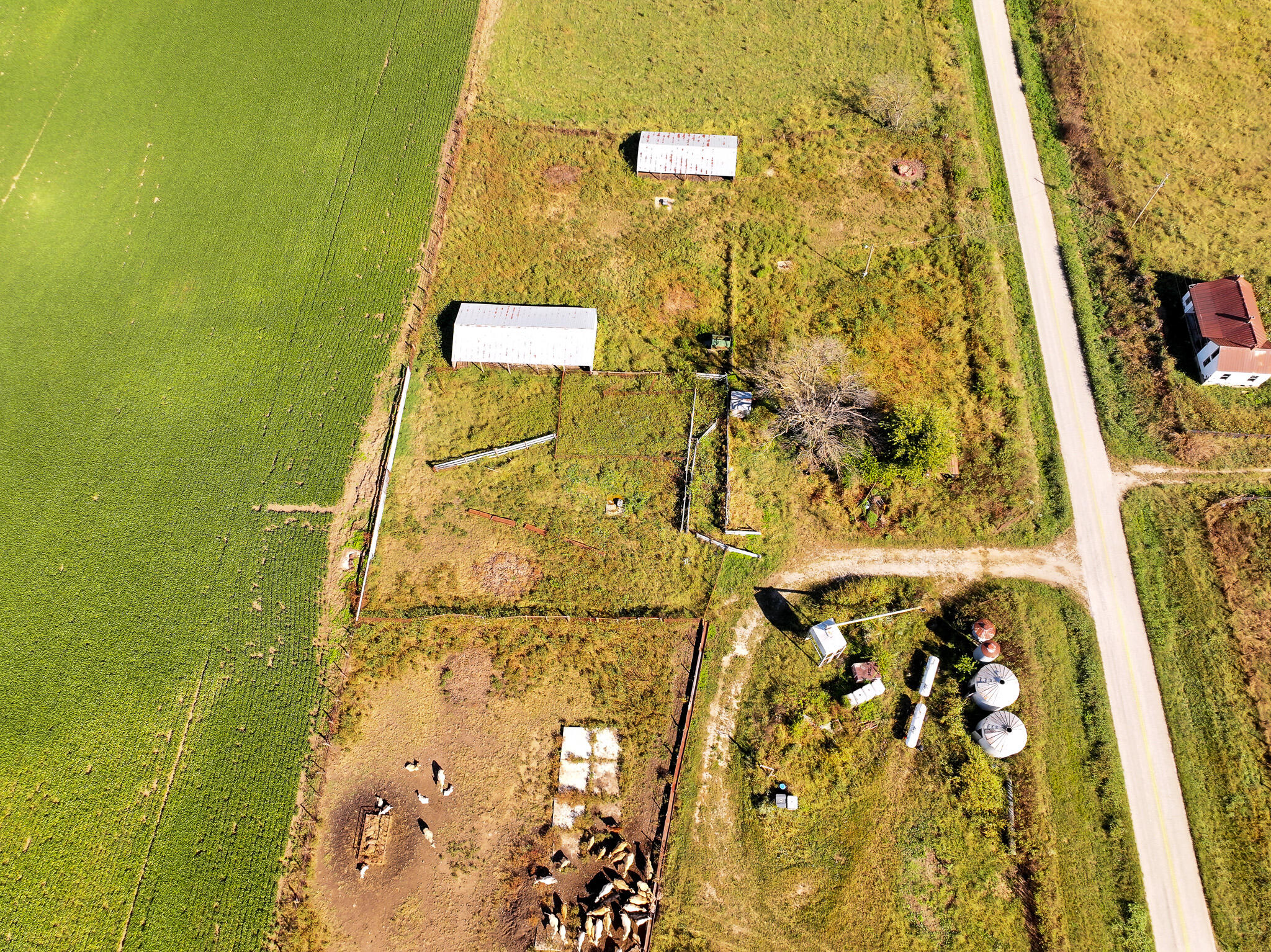 Photo 53 - Land for sale – 1460 Sw Hw  1460 Sw Hwy H   Appleton City, MO