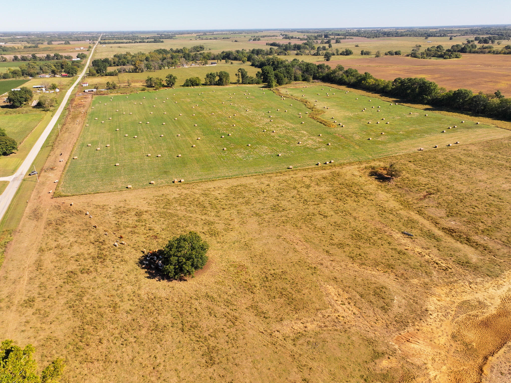 Photo 52 - Land for sale – 1460 Sw Hw  1460 Sw Hwy H   Appleton City, MO