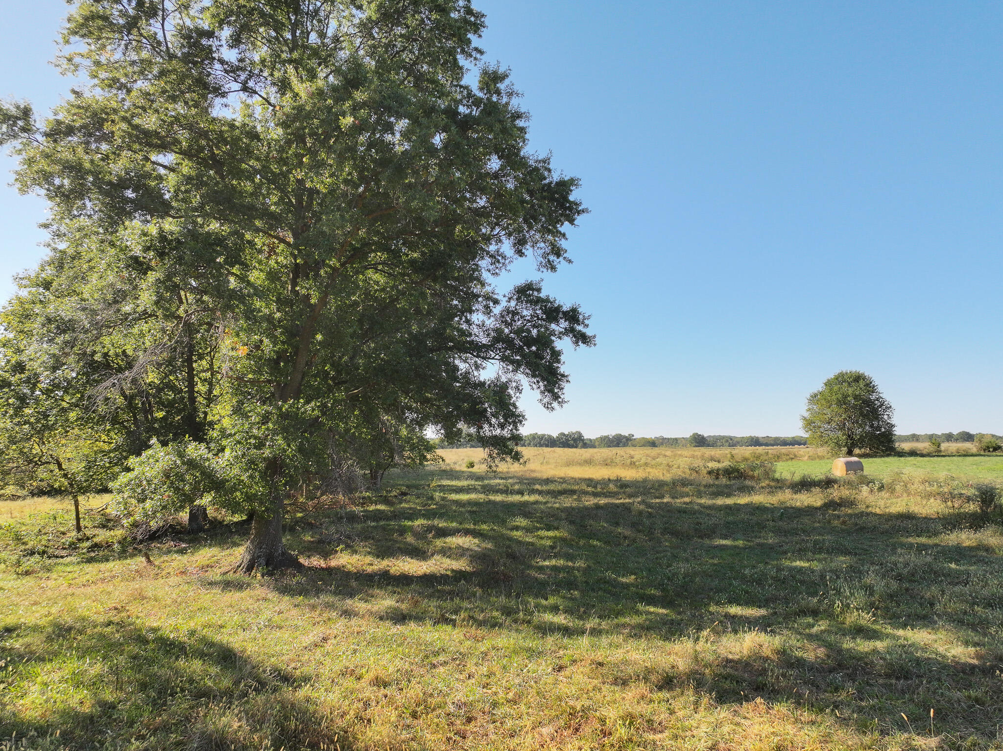 Photo 39 - Land for sale – 1460 Sw Hw  1460 Sw Hwy H   Appleton City, MO