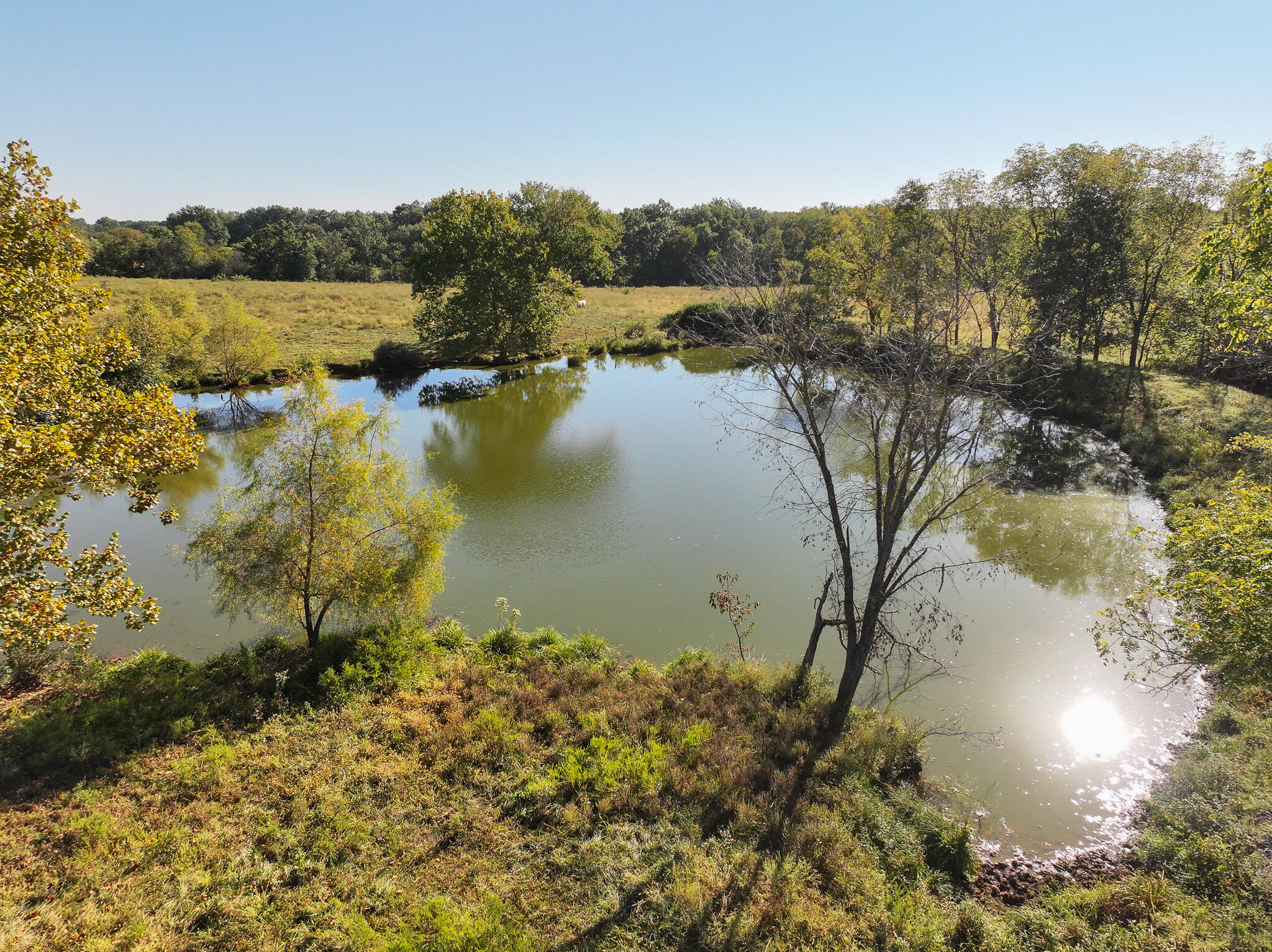 Photo 27 - Land for sale – 1460 Sw Hw  1460 Sw Hwy H   Appleton City, MO