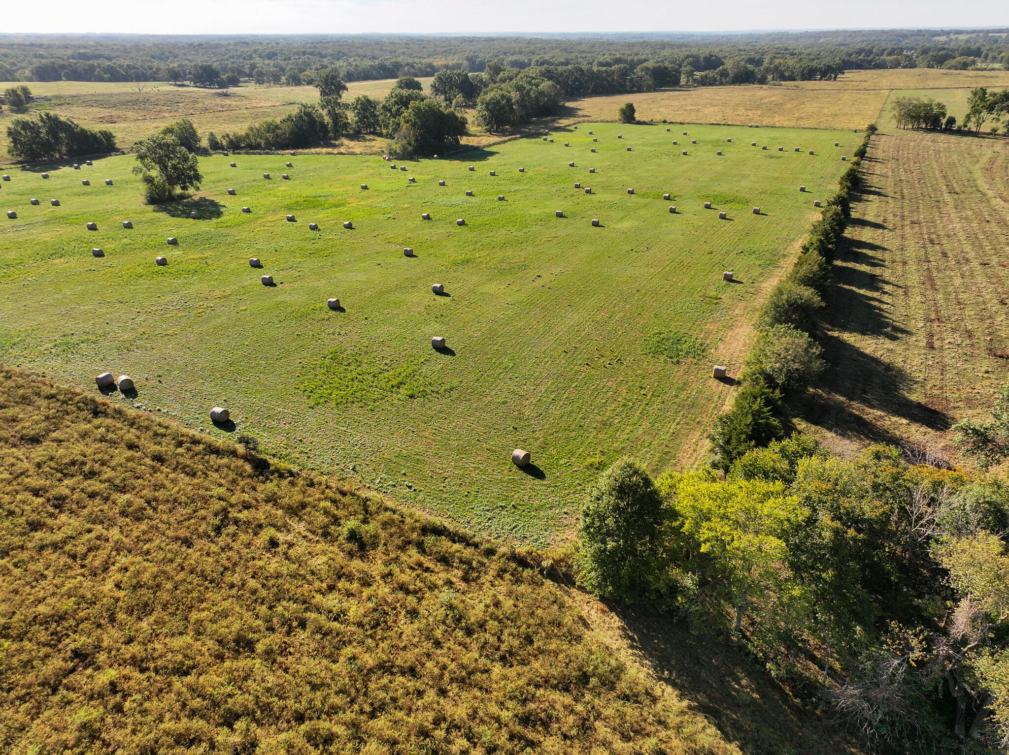 Photo 10 - Land for sale – 1460 Sw Hw  1460 Sw Hwy H   Appleton City, MO