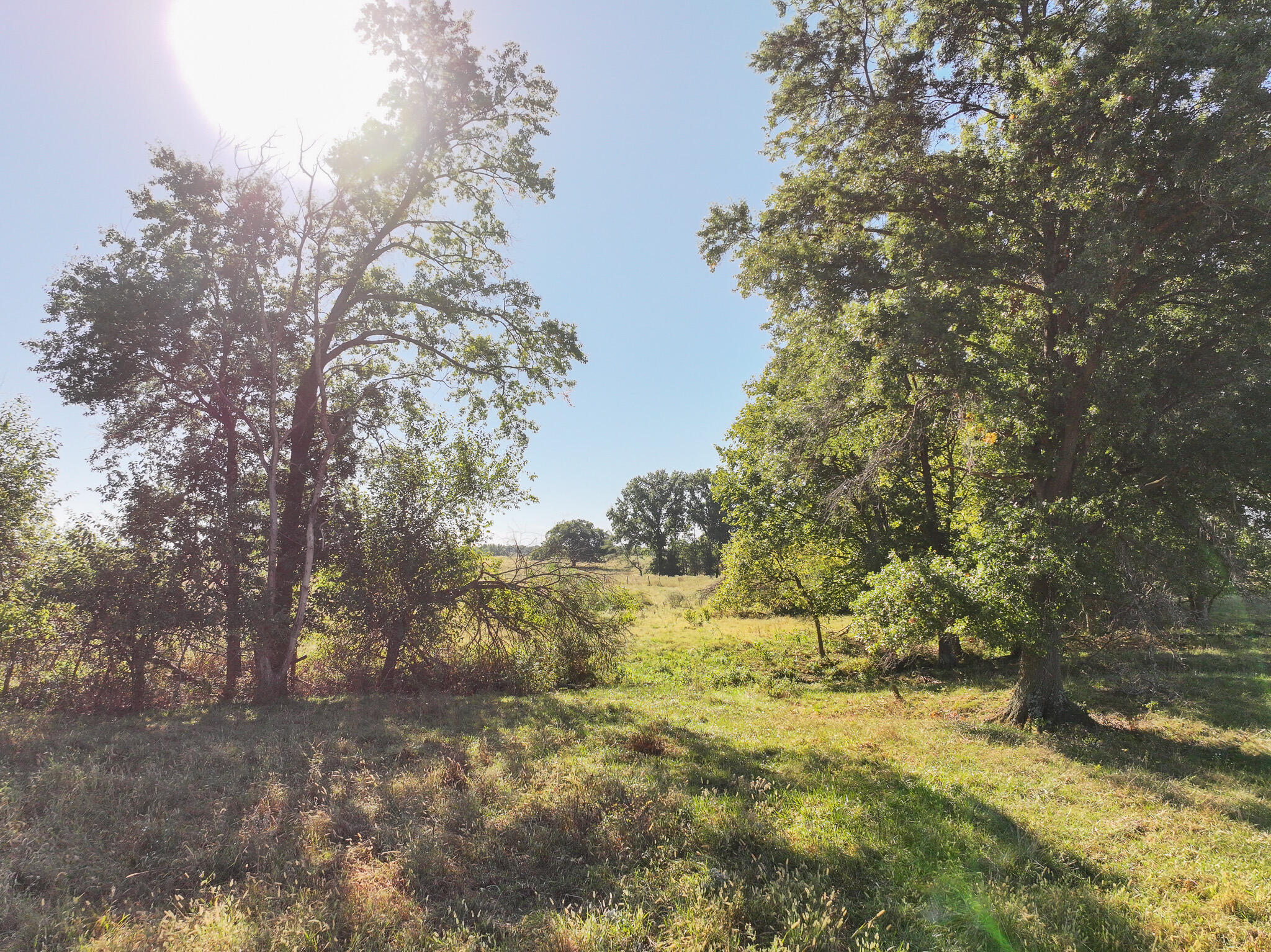 Photo 38 - Land for sale – 1460 Sw Hw  1460 Sw Hwy H   Appleton City, MO