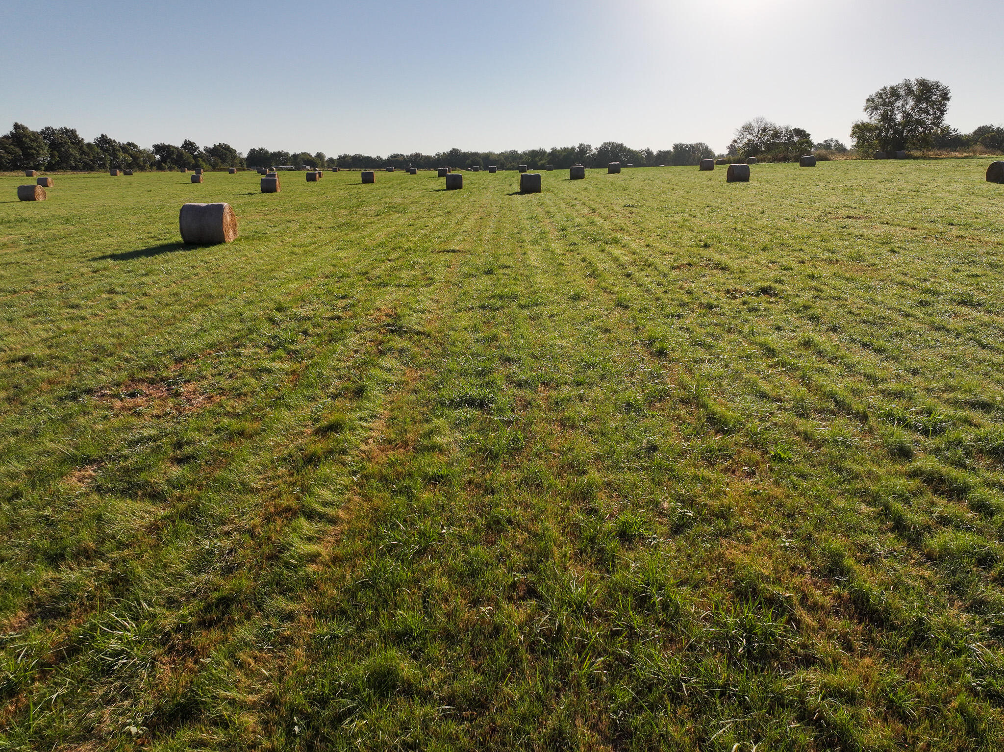 Photo 57 - Land for sale – 1460 Sw Hw  1460 Sw Hwy H   Appleton City, MO